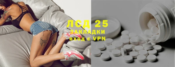 ECSTASY Алзамай