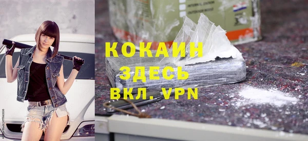 ECSTASY Алзамай