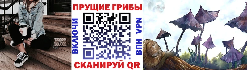 Галлюциногенные грибы MAGIC MUSHROOMS  наркота  Узловая 